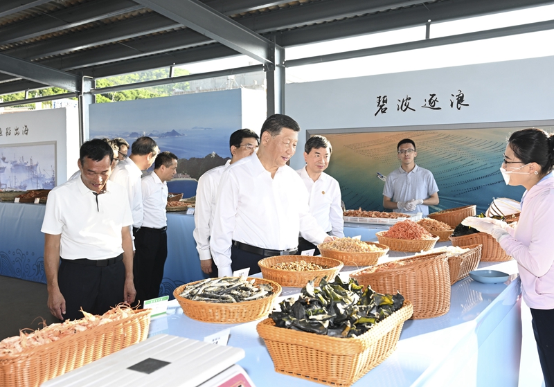 10月15日至16日，中共中央总书记、国家主席、中央军委主席习近平在福建考察。这是15日下午，习近平在漳州市东山县陈城镇澳角村考察时，了解海鲜干货和渔获产品交易情况。